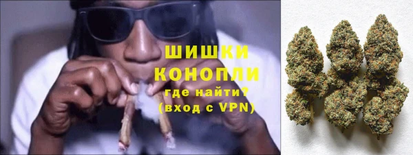 стаф Белокуриха