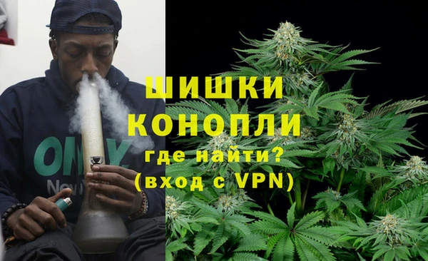 ГАЛЛЮЦИНОГЕННЫЕ ГРИБЫ Белоозёрский