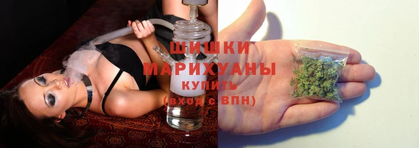 стаф Белокуриха