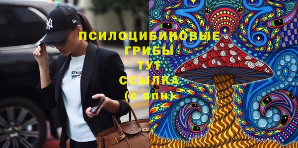 ГАЛЛЮЦИНОГЕННЫЕ ГРИБЫ Белоозёрский