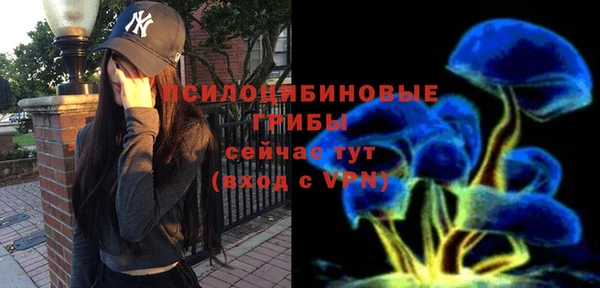 ГАЛЛЮЦИНОГЕННЫЕ ГРИБЫ Белоозёрский
